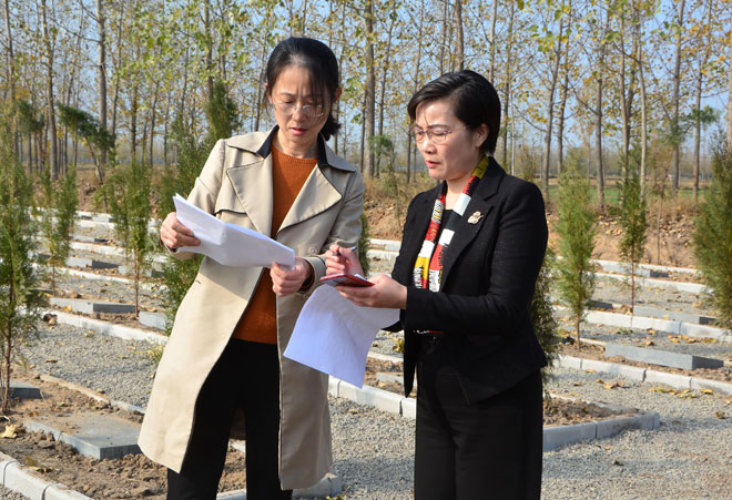 B90_8773_爱奇艺.jpg