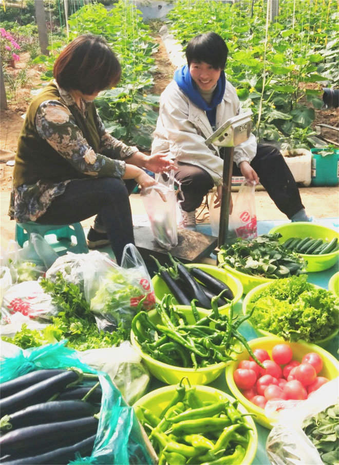 樊弘.jpg
