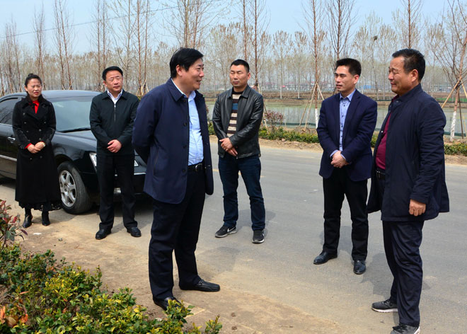 B90_1993_爱奇艺.jpg