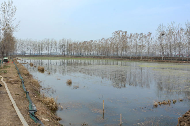 B90_2010_爱奇艺.jpg