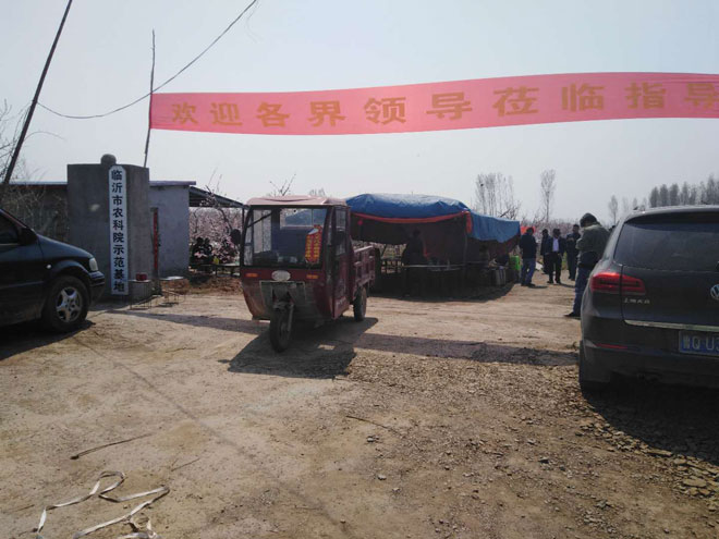b8131987257060937500UPW.jpg