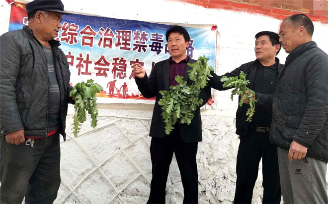 讲危害0.jpg