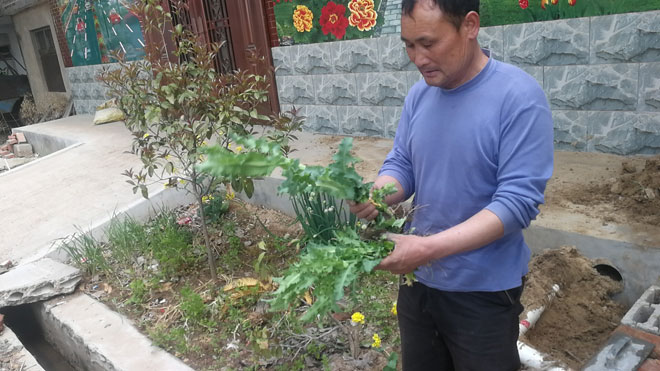 微信图片_20190418144441.jpg 微信图片_20190418144441.jpg