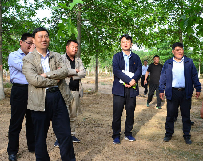 B90_3563_爱奇艺.jpg
