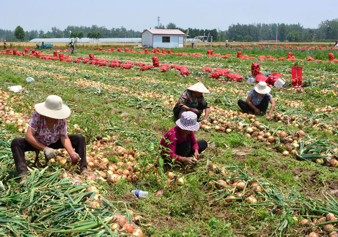 B90_4446_爱奇艺.jpg