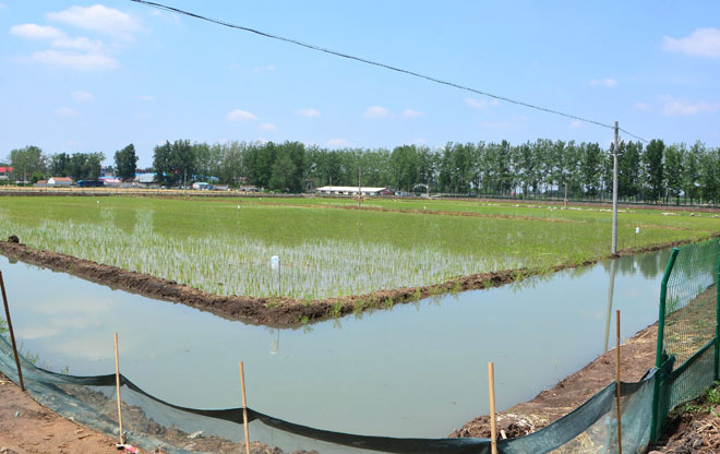 B90_4636_爱奇艺.jpg