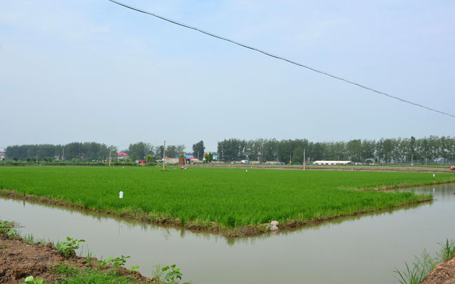 B90_5396_爱奇艺.jpg