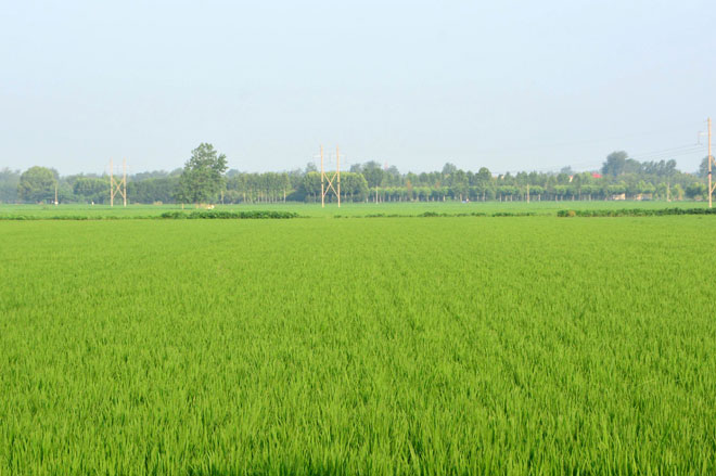 B90_6153_爱奇艺.jpg B90_6153_爱奇艺.jpg