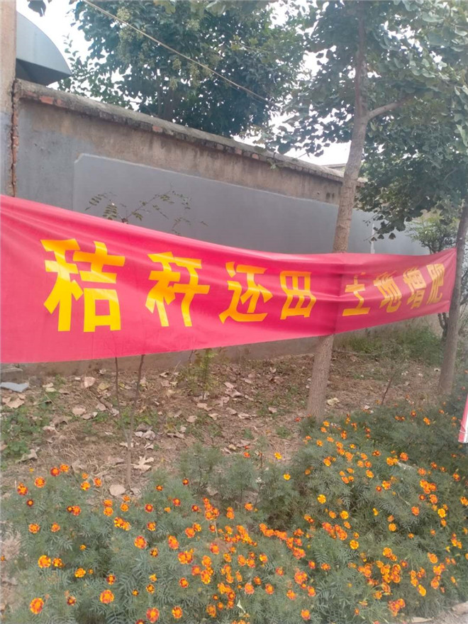 73c8e48ad96a37ed7b91b6eae30a179.jpg