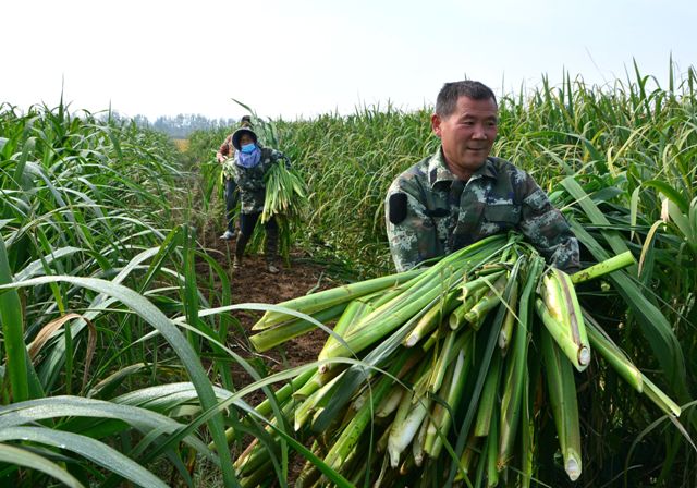 B90_8695_金山看图.jpg