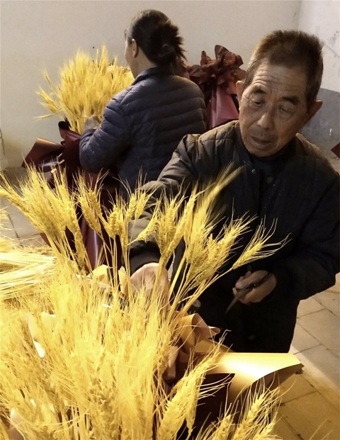 大麦大卖5.jpg