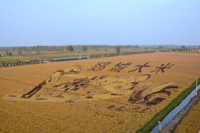 B90_9183_爱奇艺.jpg