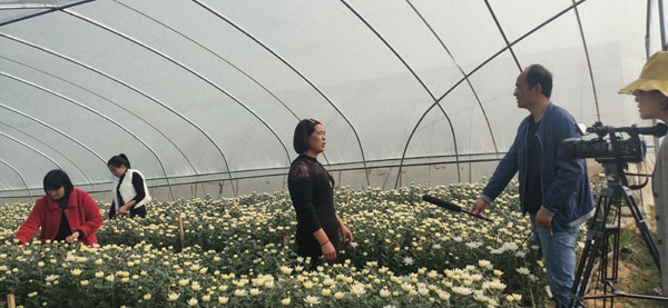 种花出名的崔保香在接受媒体采访.jpg