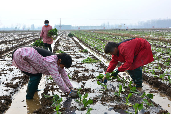 B90_9630_爱奇艺.jpg B90_9630_爱奇艺.jpg
