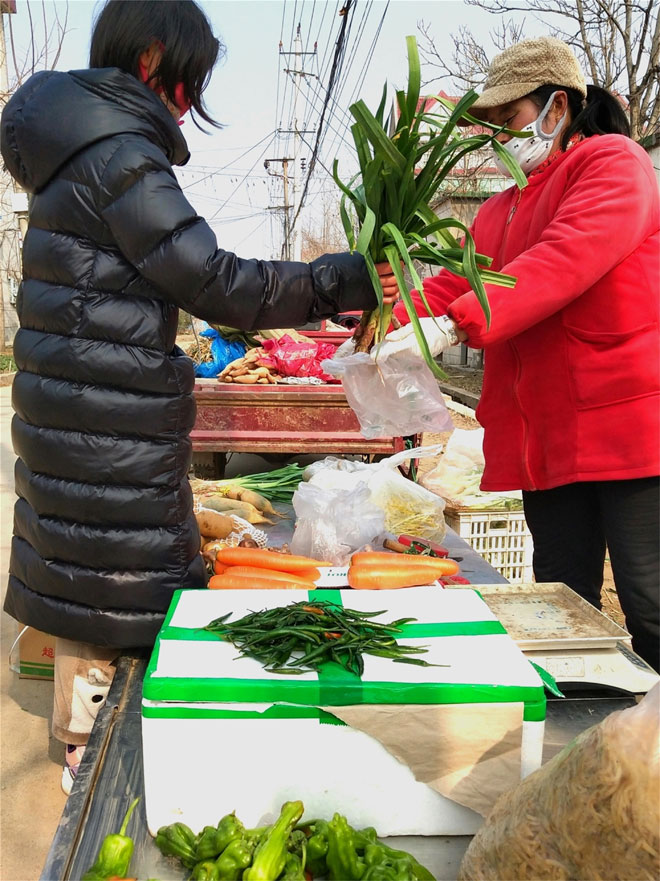 新鲜蔬菜.jpg 新鲜蔬菜.jpg