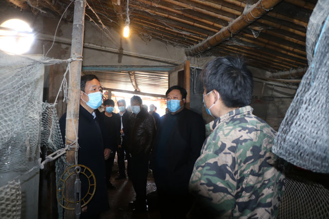 县委副书记徐波(左一)在养鸡大棚实地了解情况.jpg 县委副书记徐波(左一)在养鸡大棚实地了解情况.jpg