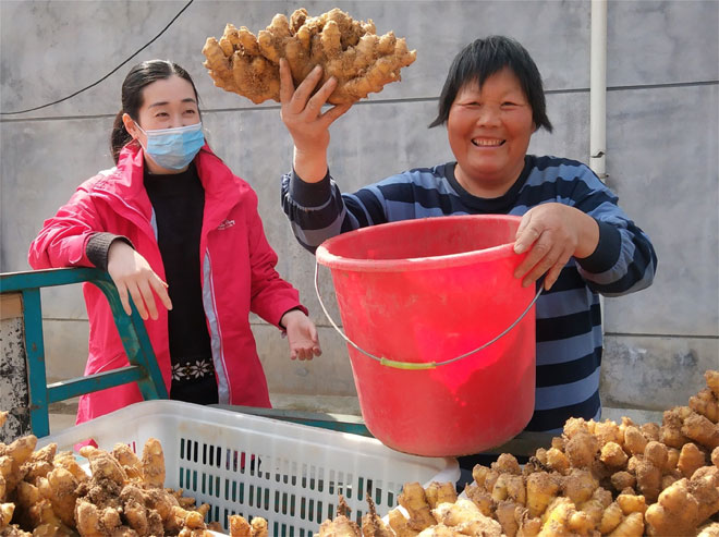 大姜山.jpg