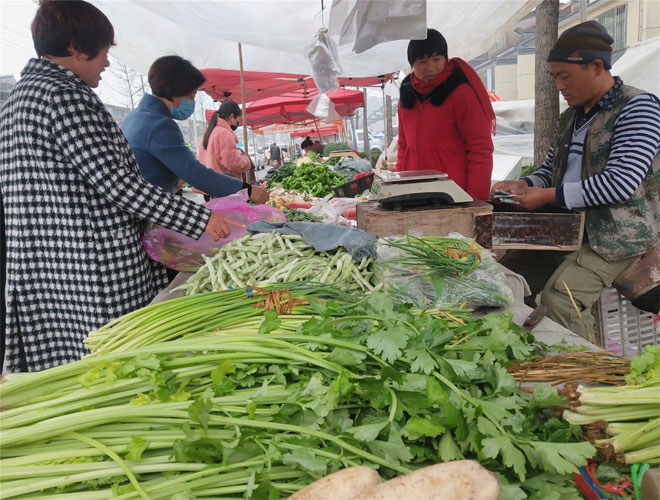 蔬菜集市.jpg 蔬菜集市.jpg