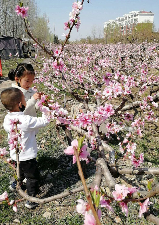 微信图片_20200407223900.jpg
