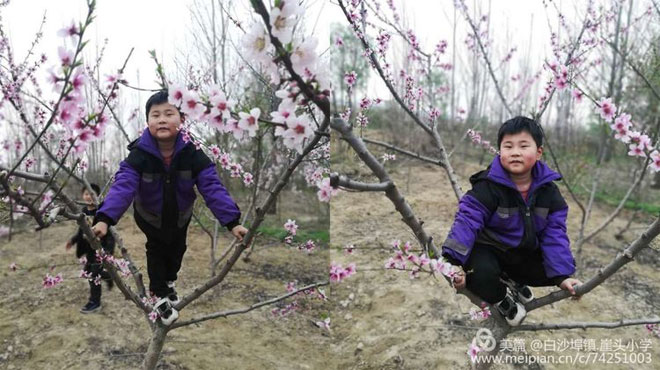 走进四月,拥抱春天---薛敏如266.jpg 走进四月,拥抱春天---薛敏如266.jpg