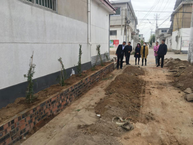 兰山区妇联“硬核”助力白沙埠镇美丽庭院示范村建设445.jpg
