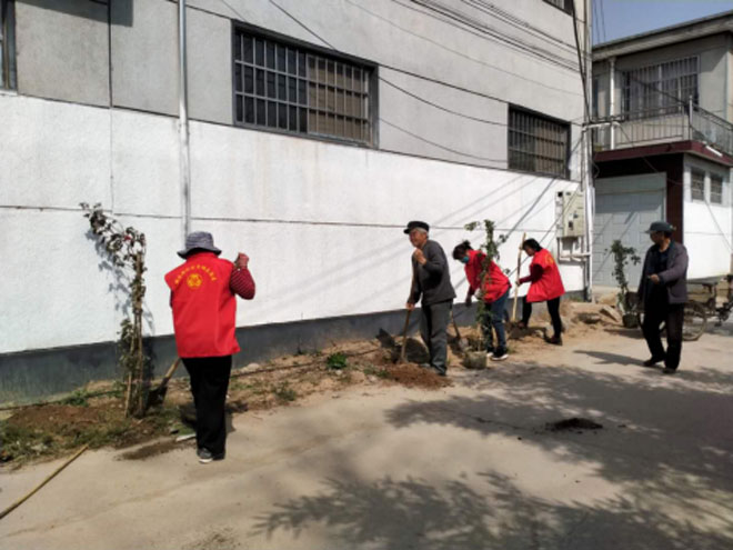 兰山区妇联“硬核”助力白沙埠镇美丽庭院示范村建设447.jpg