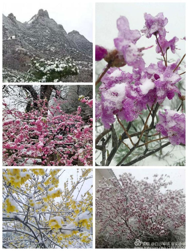 风雪过后，阳光更明媚--薛敏如120.jpg