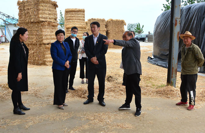 B90_3418_爱奇艺.jpg