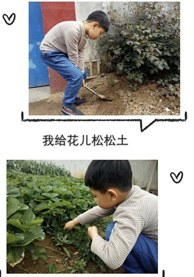 1.jpg 1.jpg