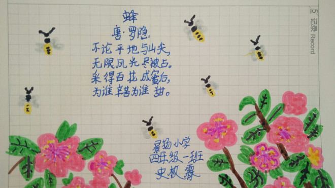 李官镇景扬小学史枚霖.jpg