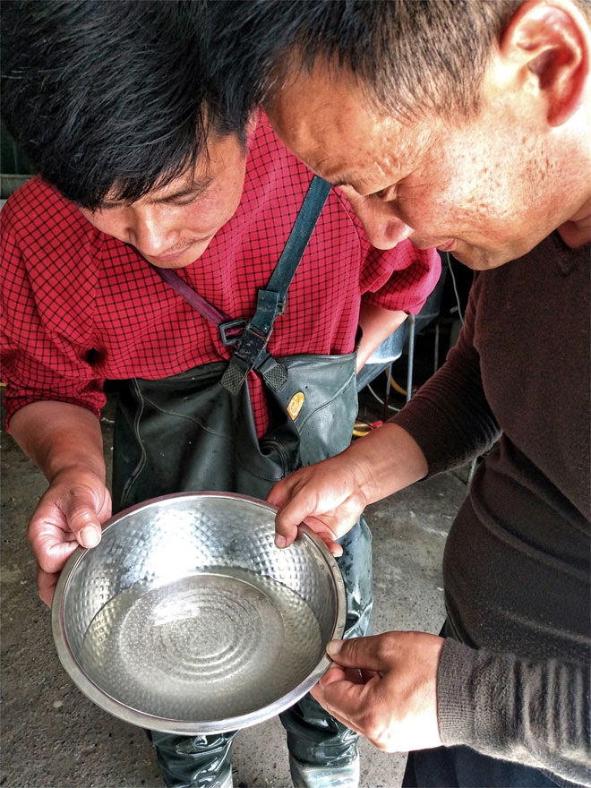 倪长征（左一）在仔细地观看银鳕鱼卵5.jpg