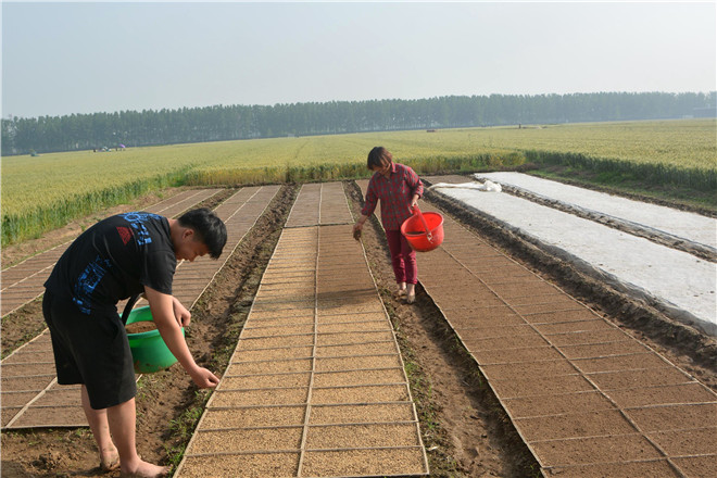B90_3867_爱奇艺.jpg