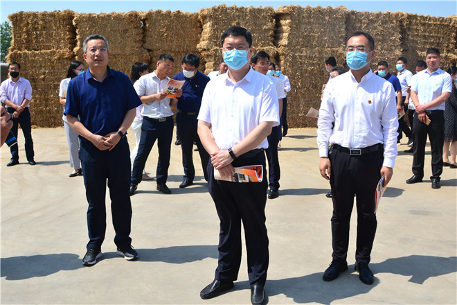 B90_4036_爱奇艺.jpg