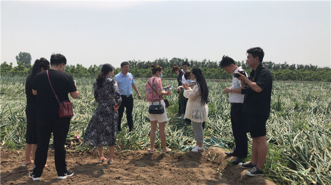 网红们在洋葱产地直播 b0829405a8d513797573bfe06077657.jpg