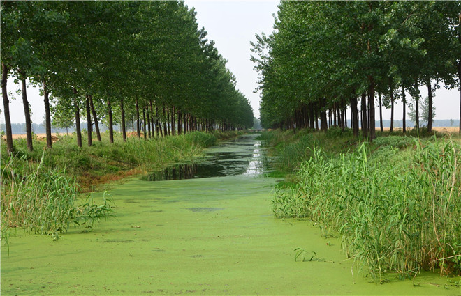 B90_4258_爱奇艺.jpg B90_4258_爱奇艺.jpg