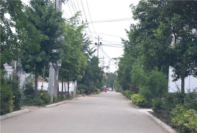 B90_4391_爱奇艺.jpg