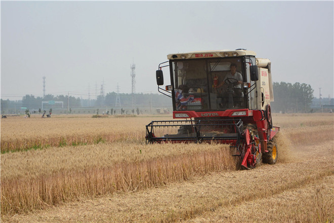 B90_4399_爱奇艺.jpg