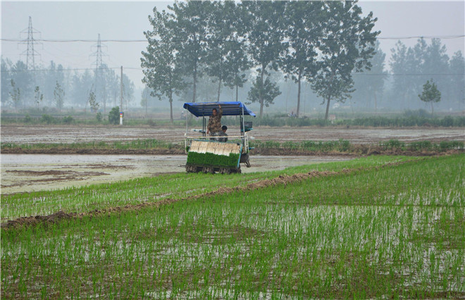 B90_5008_爱奇艺.jpg