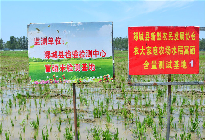B90_5486_爱奇艺.jpg B90_5486_爱奇艺.jpg