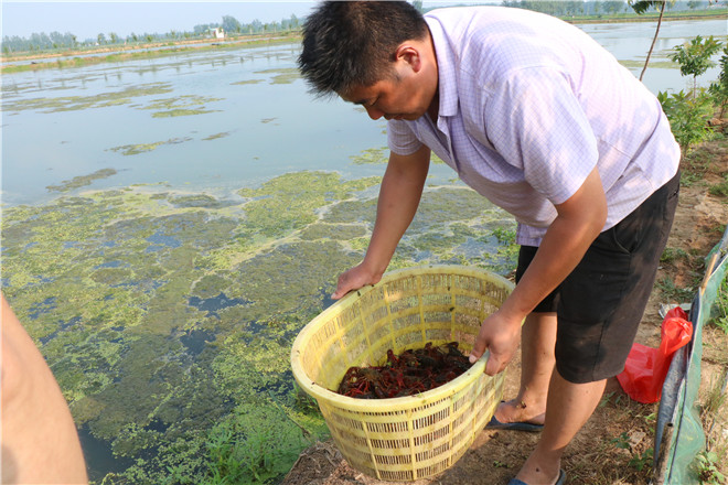 曹40).jpg 曹40).jpg