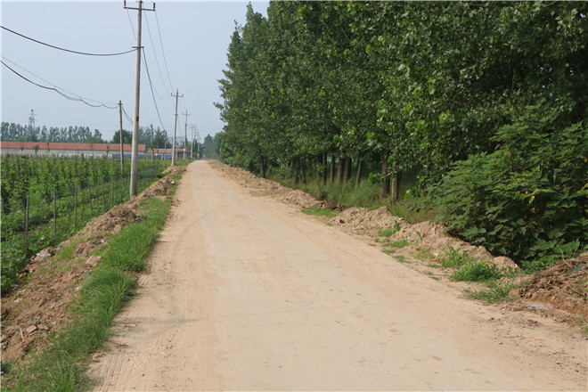曹东荷花 052.jpg