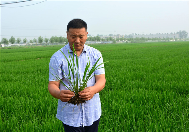 B90_5763_爱奇艺 (1).jpg