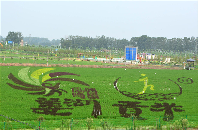 B90_5918_爱奇艺.jpg