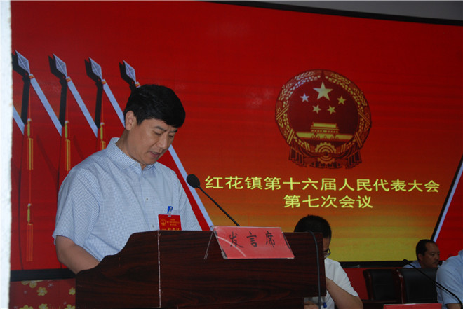 郯城县红花镇党委副书记、镇长赵安宁作红花镇人民政府工作报告.jpg