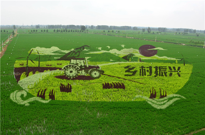 B90_6172_爱奇艺.jpg