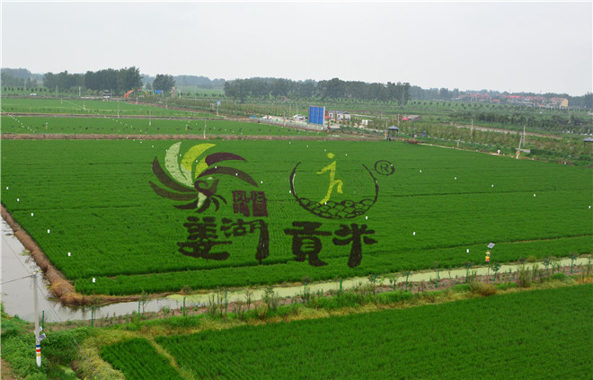 B90_6176_爱奇艺.jpg