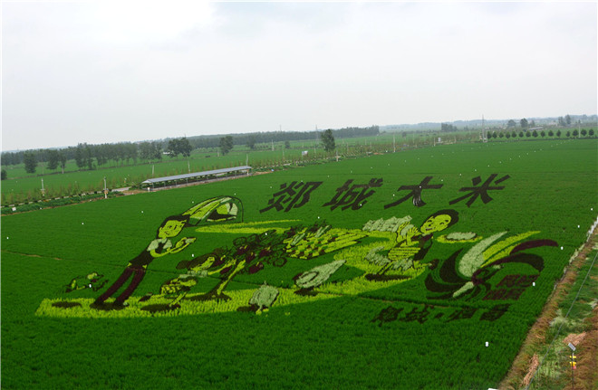 B90_6170_爱奇艺.jpg