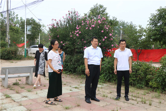 县创卫指导.jpg 县创卫指导.jpg
