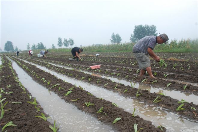 DSC_0018.jpg DSC_0018.jpg