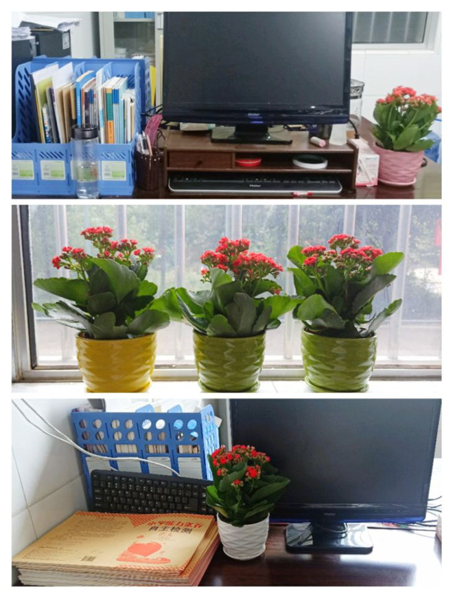 QQ图片20200917193411.jpg